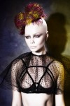 HAIRCOLLECTION SilasTsang