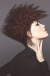 HAIRCOLLECTION RyanHumpage
