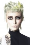 haircollection SilasTsang