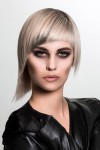 HAIRCOLLECTION RossCharles