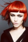 HAIRCOLLECTION RyanHumpage