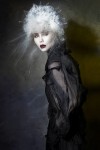 HAIRCOLLECTION SilasTsang