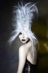 HAIRCOLLECTION SilasTsang