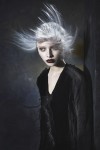 HAIRCOLLECTION SilasTsang