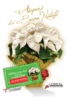 Operazione Natale L'Oréal