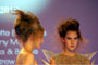 Tribute Show Parigi