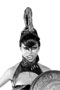 Sasson New Man Collection-Luxe