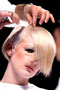 Sassoon Academy