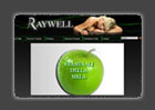 RAYWELL