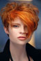 COLLEZIONE ALTER EGO ITALY SOFT & SHARP BY PAUL GEHRING