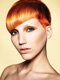 Francesco Group