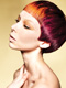 Francesco Group