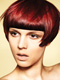 Francesco Group
