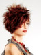 Universo Capelli