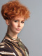 Intercoiffure Mondial