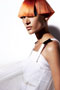 Richard Ashforth for SACO