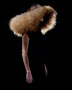 Toni&Guy