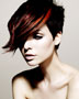Toni&Guy