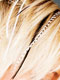 Extensions