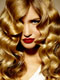 Fabien Provost for Fabien Provost for Frank Provost