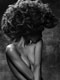 Kelly Craven Salvatelli