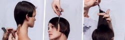 Cut and Color