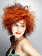 Universo Capelli