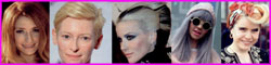 Brit Pack