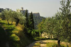 Kemon
