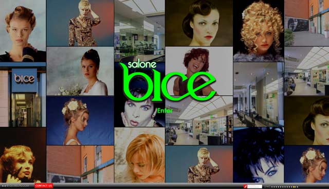 SALONE BICE