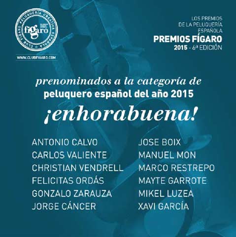 Premios Fígaro 2015