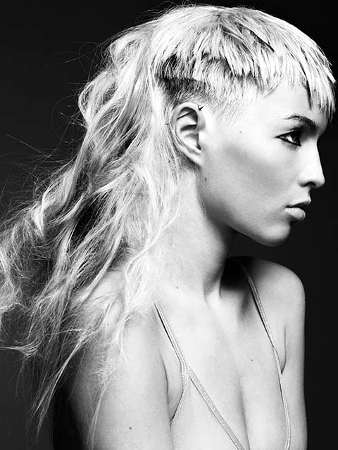 Ken Picton Artistic Team