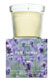 AVEDA LIGHT THE WAY