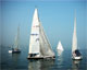 REGATA BIOPOINT