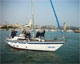 REGATA BIOPOINT