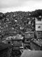 FAVELA BRASILIANA