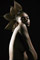 CHRISTOPHE GAILLET