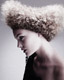 Hob Salons - Linear