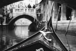 VENEZIA