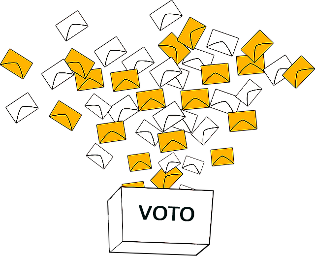 voto