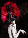 David Barron - img01