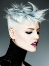 Smart_02c