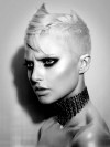 ER-16-0081BHA-B&W