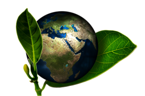 globelife - l'oreal ecosostenibile