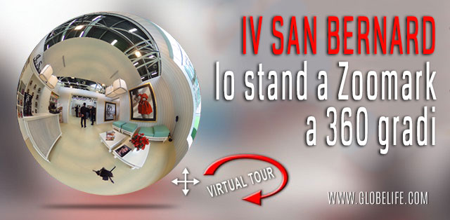iv san bernard - zoomark