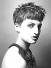 IMG01
