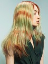 IMG06