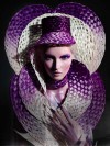 David Barron - Cobra Serpent Collection