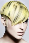 Hair Collection