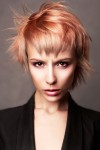 haircollections lisa whiteman